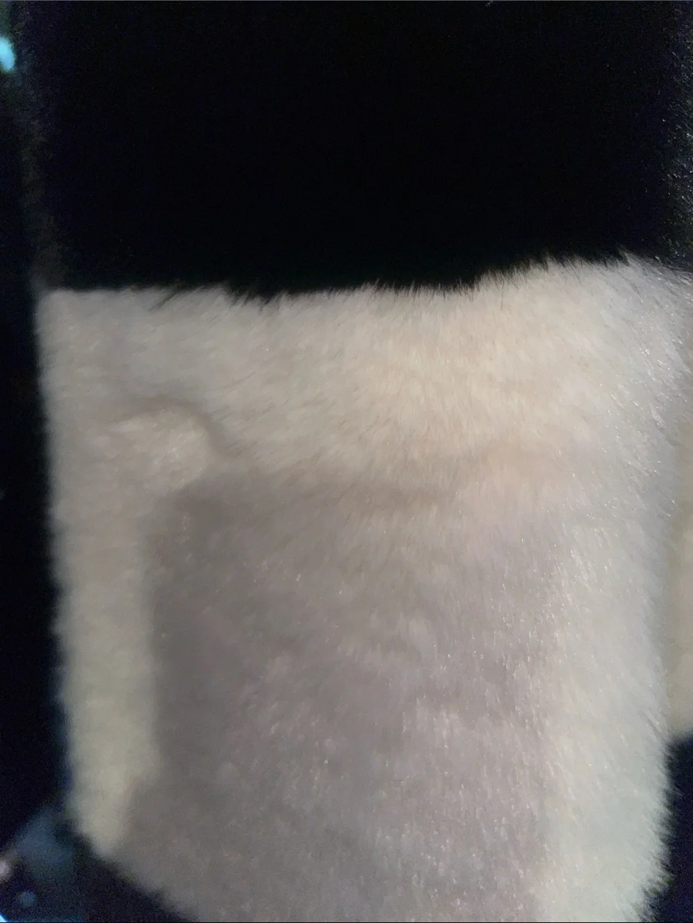 Anthropologie Colorblock Faux Fur Scarf